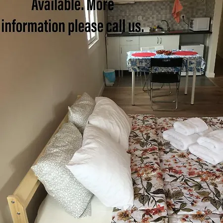 Blue Wolf 2 Guest house *